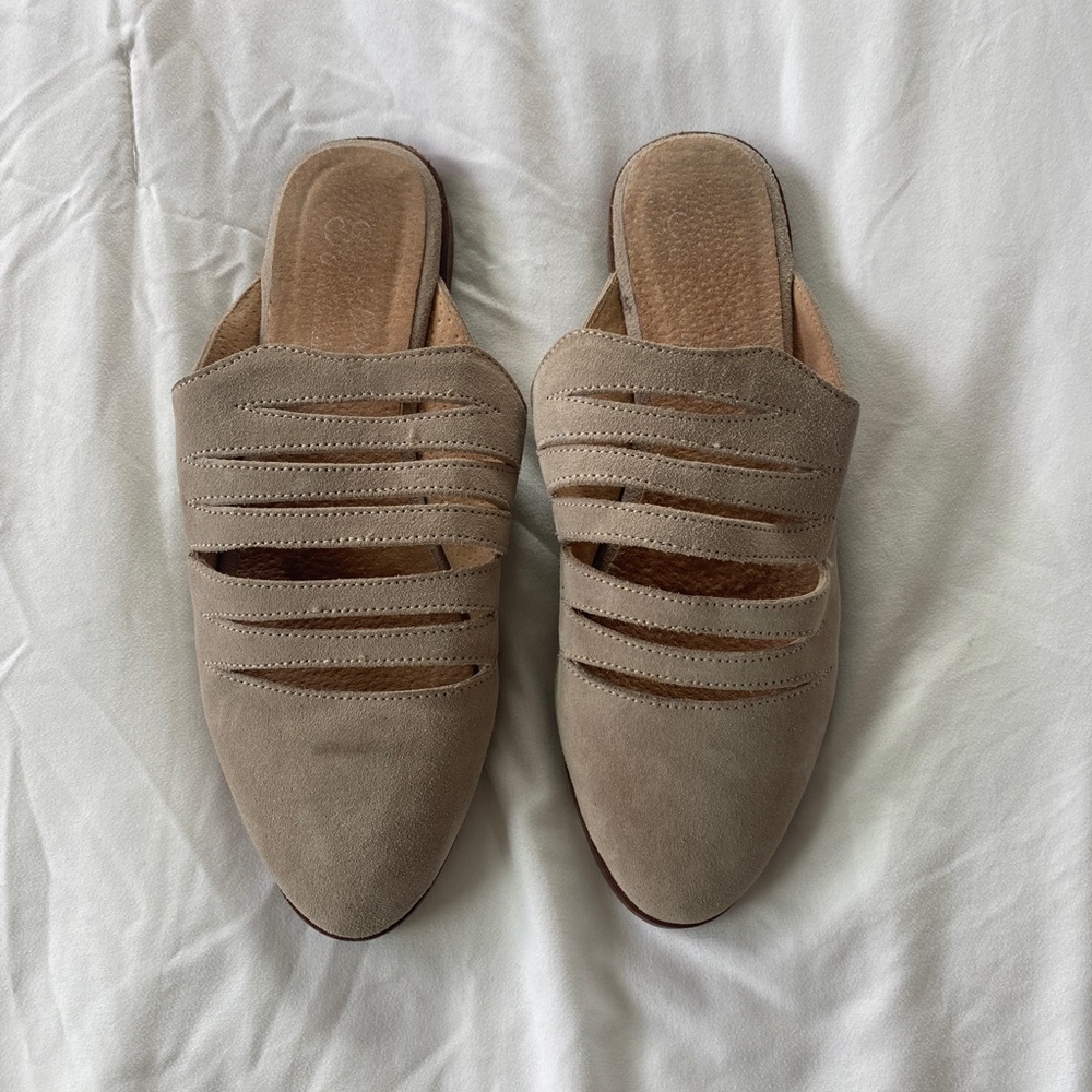 Seychelles Undivided Mule